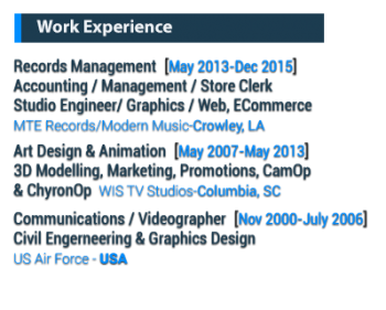 Resume Element - Work-Experience